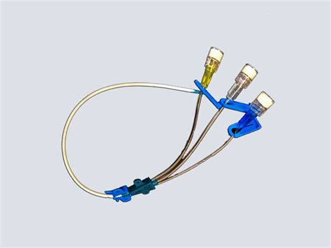 Iv Extension Triple Lumen Catheter A 1 Medical Integration