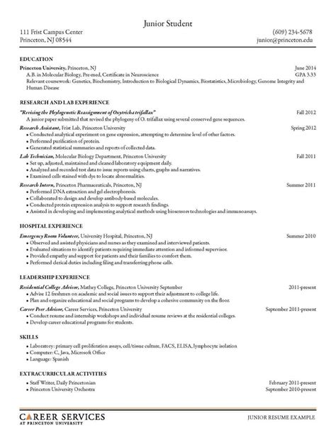 Type of resume and sample, resume format for job with experience. 16 Free Resume Templates - Excel PDF Formats