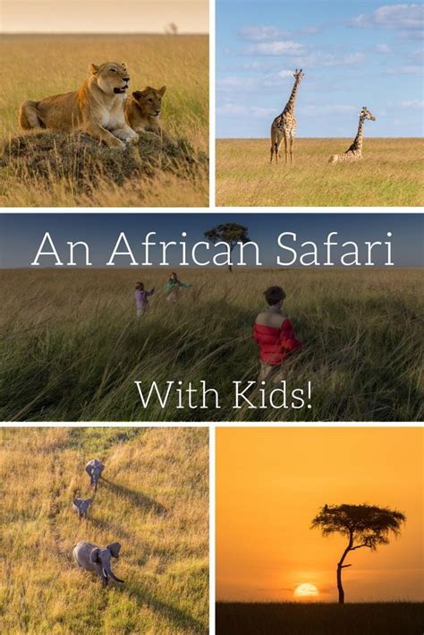 Take Your Kids To Africa This Is Where We Went And What We Liked Best