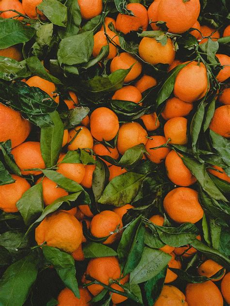 Fruits Food Leaves Tangerines Citrus Hd Phone Wallpaper Pxfuel