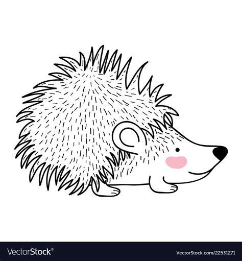 Porcupine Drawing Through This Creative Experience You Will Not Only