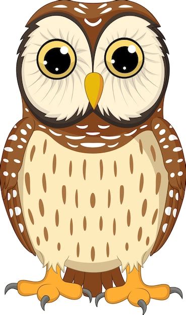 Premium Vector Cartoon Owl Isolated On White Background