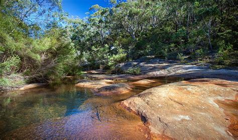 Nsw Community Conservation Areas Nsw National Parks