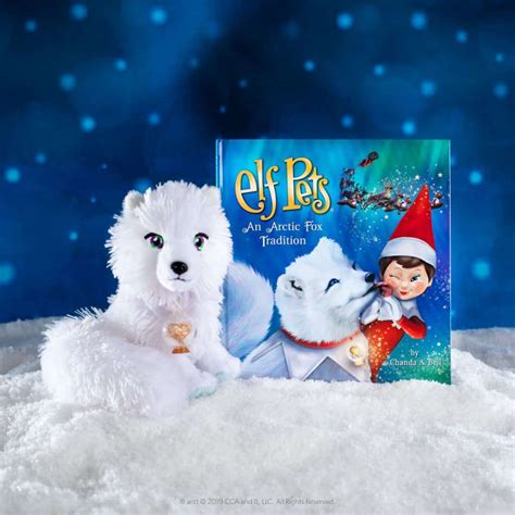 Elf Pets Arctic Fox And Book Set Little Advent Boxes