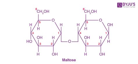 Maltose Structure Formula Properties Production Uses