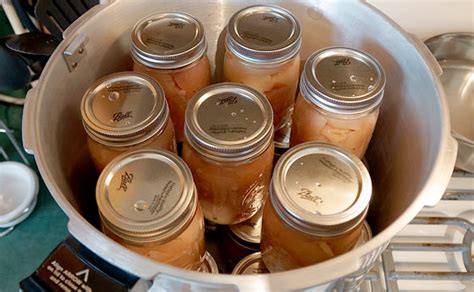 Sep 07, 2020 · how to preserve salsa without canning? My Pressure Canned Chicken