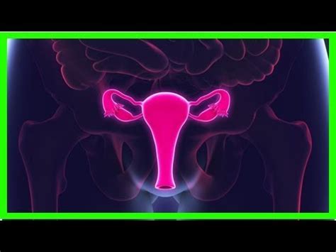 Esto Es Lo Que Les Pasa A Tu Vagina Y Tu Vulva Durante El Sexo YouTube