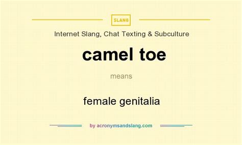 By 1903 we find 'simp' attested as circus slang meaning 'simpleton,' of which it appears to be an abbreviation. What does camel toe mean? - Definition of camel toe ...