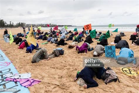 Bury Head In The Sand Photos And Premium High Res Pictures Getty Images