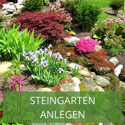 Tolle ideen im internet, wie sie einen japanischen garten anlegen können. Steingarten anlegen: Eine Schritt-für-Schritt-Anleitung ...