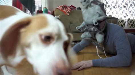 Dog Vs Alien Mind Controlled Owner Prank Funny Dog Maymo Youtube