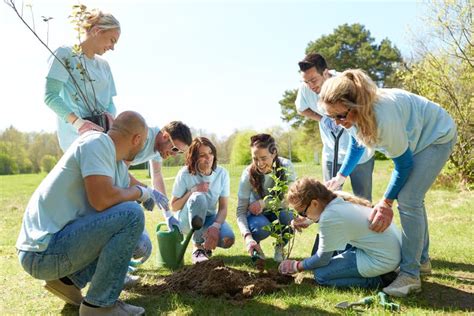 Group Of Volunteers Planting Tree In Park Stock Image Image Of Happy