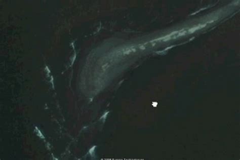 A 'sea monster' has been spotted on google earth near antarctica, and it has driven people into a frenzy as they tried to figure out what it is. Google earthシーモンスター【Google earth sea monster】 : 13SHOE・高野十 ...
