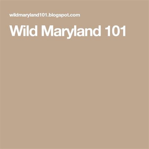 Wild Maryland 101 Maryland Wild Natural Phenomena