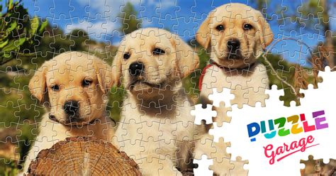 Labrador Puppies Jigsaw Puzzle Animals Pets Puzzle Garage