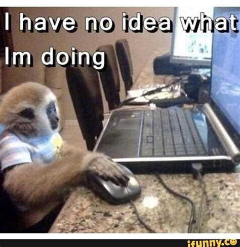 15 Hilarious Monkey Memes To Brighten Your Day Cheeky Monkeys