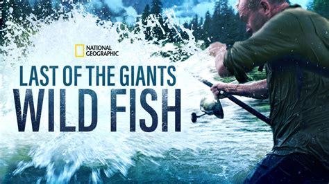 Se Hele Afsnit Af Last Of The Giants Wild Fish Disney