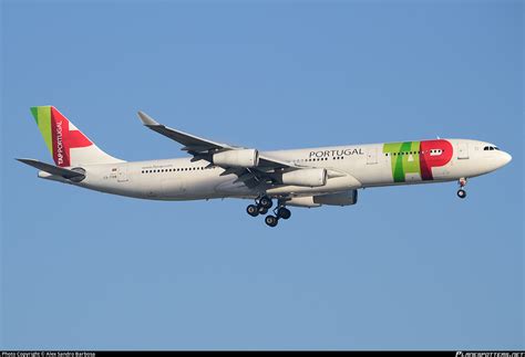 Cs Tob Tap Air Portugal Airbus A340 312 Photo By Alex Sandro Barbosa
