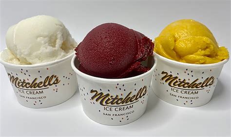 Sorbet Flavors Mitchell S Ice Cream