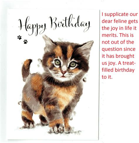 Happy Birthday With Cats Images Cat Meme Stock Pictures And Photos