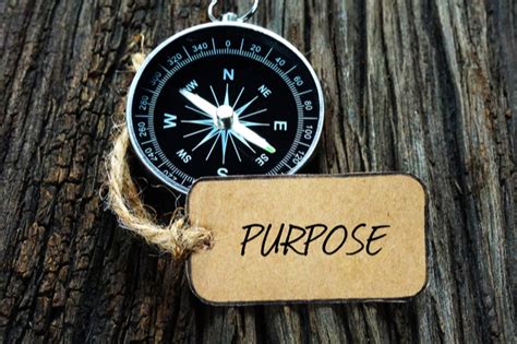 Why Is Purpose So Important For Your Team The Team Space