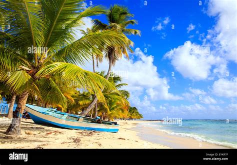 Beautiful Caribbean Beach On Saona Island Dominican Republic Stock