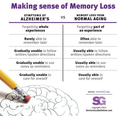 A Look At Memory Cognitive Development Throughout The Lifetime Hubpages
