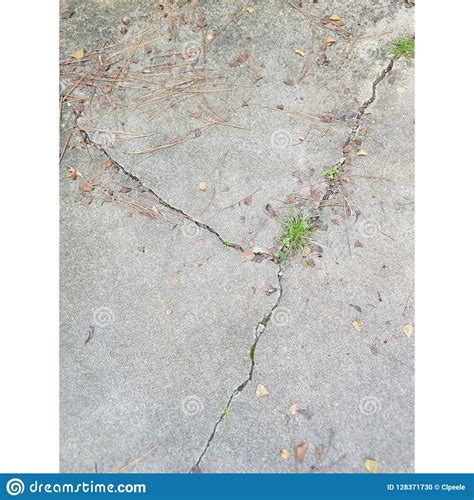 Pavement Cracks Geometry Stock Photo Image Of Demonstrate 128371730