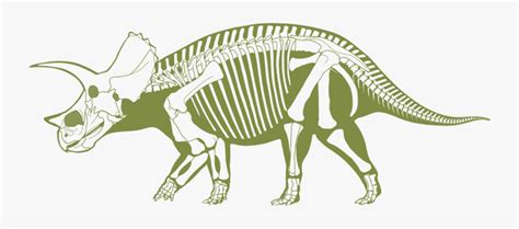 Maybe you would like to learn more about one of these? Profile Photo Dino Triceratops - Dinosaur Skeleton Clipart ...