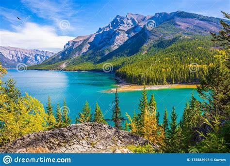 The Lake With Turquoise Water Stock Image Image Of Blue Canada