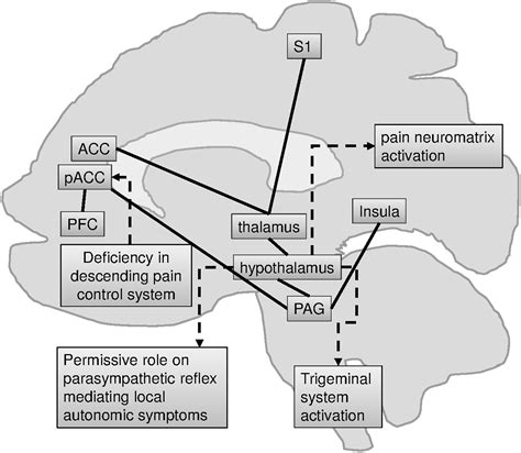 Neuroimaging In Cluster Headache And Other Trigeminal Autonomic