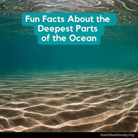 How Deep Is The Ocean Floor In Each Ocean Dutch Shark Society