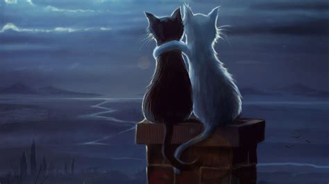 Two Cats Wallpapers Wallpaper Cave
