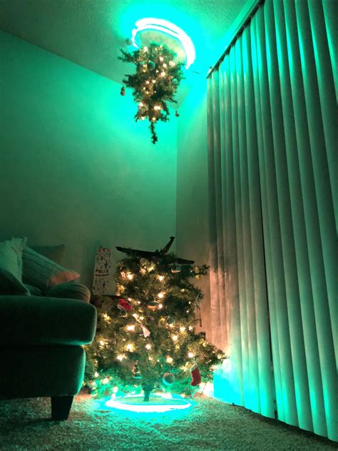 Gf And I Crafted A Rick And Morty Style Portal Tree Rrickandmorty