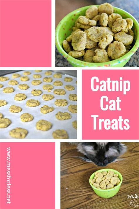 Catnip Treats Recipe Dandk Organizer