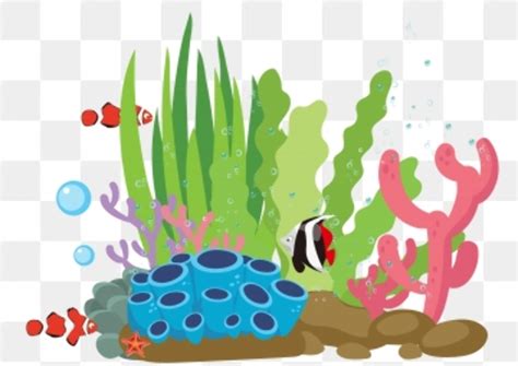 Download High Quality Seaweed Clipart Underwater Transparent Png Images