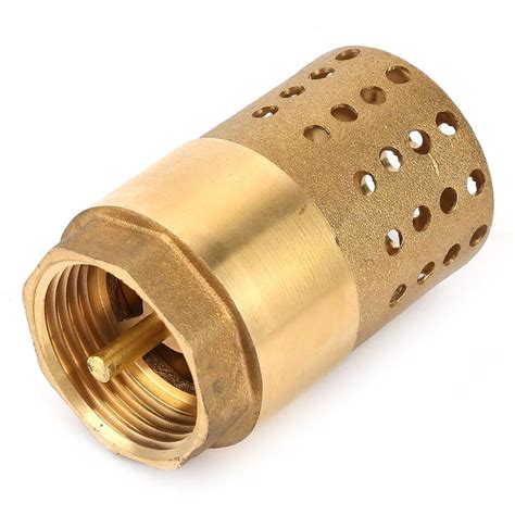 Mgaxyff Brass One Way Female Thread Foot Valve Mesh Check Valve With