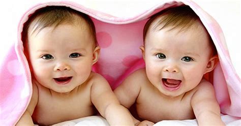 Gambar Bayi Kembar Dalam Rahim Gambar Bayi