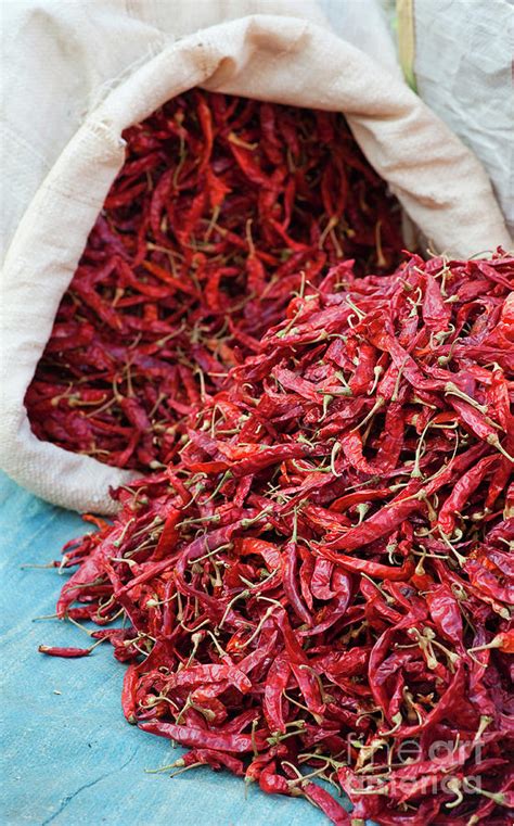 Dried Red Chilli Peppers In India Photograph By Tim Gainey Fine Art
