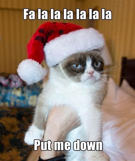 Tartar Sauce Grumpy Cat Humor Grumpy Cat Christmas Grumpy Cat
