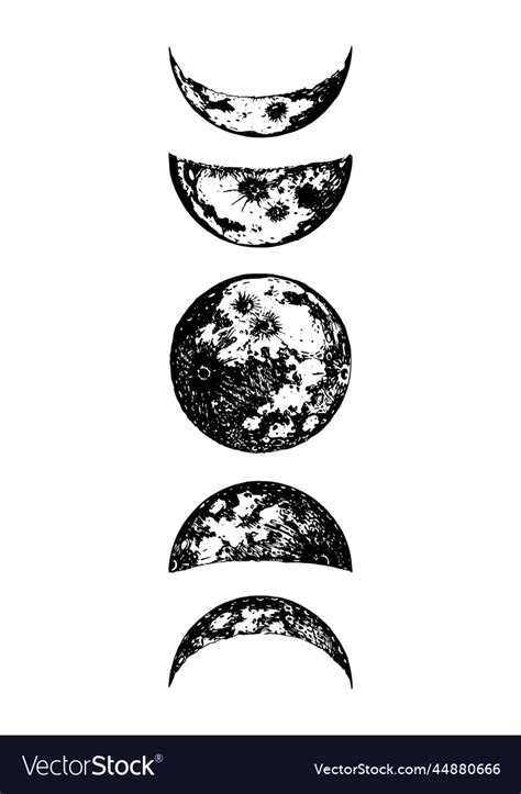 Moon Phases Drawings In Drawn Royalty Free Vector Image