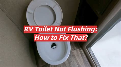 Rv Toilet Not Flushing How To Fix That Rvprofy