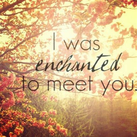 I Was Enchanted To Meet You Enchanted Taylor Swift Words Taylor