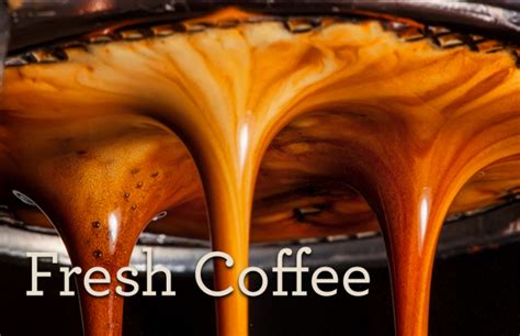 Fresh Coffee Epic Gelato