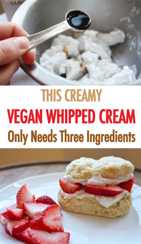 Put the whippet and screwdriver in the bag. How to Make Vegan Whipped Cream in 2020 | Vegan whipped ...