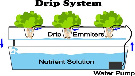 Hydroponics Diagram Explanation Tutorial Hidroponik