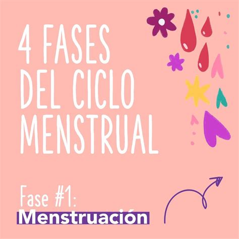 La menstruación y el ciclo menstrual Educación sexual SIDA STUDI
