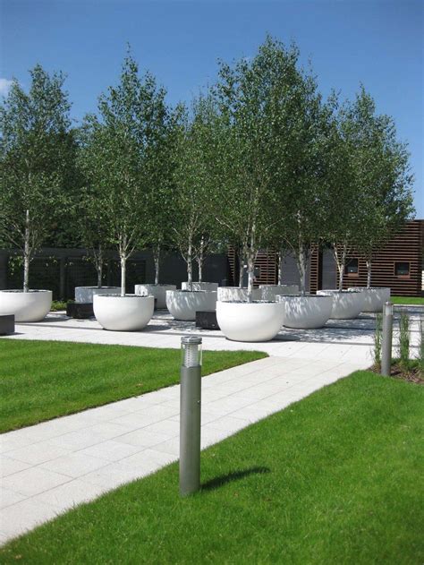 Check spelling or type a new query. IMG_1847.jpg | Landscape design, Potted trees, Outdoor design