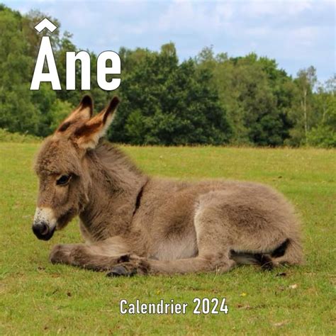 Calendrier 2024 Image Pour Madel Roselin