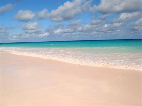 Pink Sands Beach Toptiz